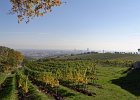DSC01603 : 37k5 Jahre 2012, Europa, Klassentreffen, Wien, Wien 37komma5, europe, jAlbum, Österreich