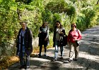Vom Kahlenberg nach Grinzing : 37k5 Jahre 2012, Europa, Klassentreffen, Wien, Wien 37komma5, europe, jAlbum, Österreich