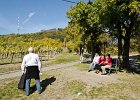 Vom Kahlenberg nach Grinzing : 37k5 Jahre 2012, Europa, Klassentreffen, Wien, Wien 37komma5, europe, jAlbum, Österreich