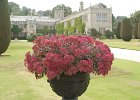 Lanhydrock House : #Anlässe, #Aufnahmeorte, #Kategorien, Bodmin, Cornwall, Cornwall 2006, Europa, Großbritannien, URL, Urlaube